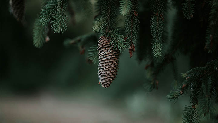 帮忙投票的话 – 快来一起为我助力吧！ 二