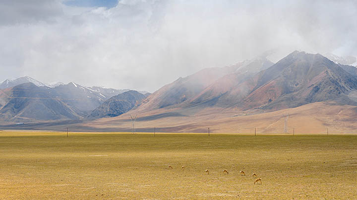 柬埔寨情降与泰国情降有何不同？详解两者的独特之处和文化影响 二