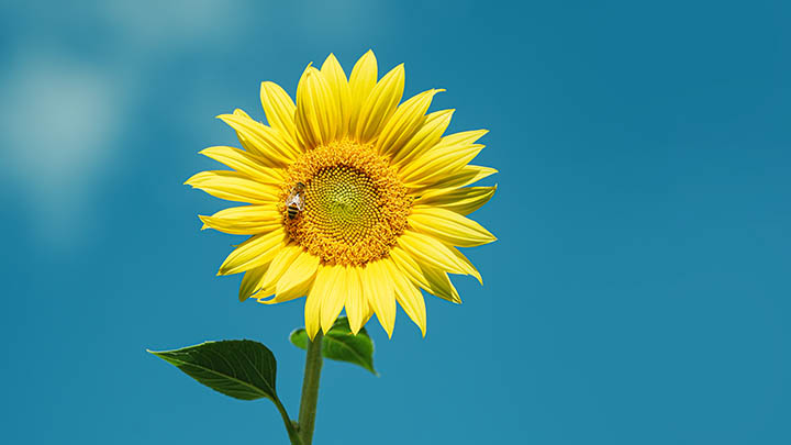 微信投票怎么拉票更有效？这些技巧让你的票数暴涨！ 二