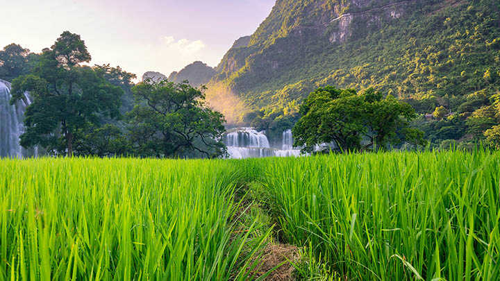网络投票工具大全 – 安全高效网络投票平台推荐助您轻松搞定投票需求 二