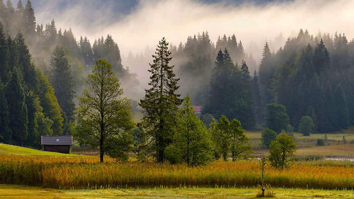 网络评选投票神器 – 打造专业投票平台-轻松拉票工具 二