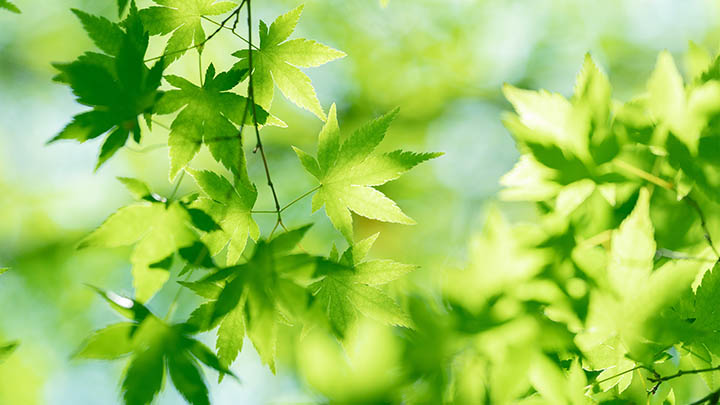泰国情降真的有效果吗？揭秘情降背后的真相与案例分析 二