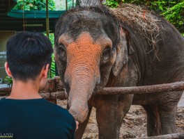 泰国旅游节目敲鼓视频百度网盘_泰国旅游节目敲鼓视频百度网盘下载