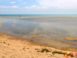 关于青海湖是淡水湖还是咸水湖判断条件的信息