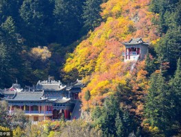 「兰州市兴隆山旅游攻略一日游」兰州市兴隆山旅游攻略一日游路线图✅