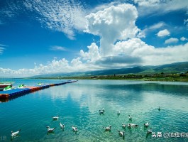 青海湖是淡水湖么_青海湖属于淡水湖还是盐水湖