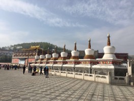 关于西宁旅游必去十大景点塔尔寺的信息