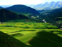 「祁连山草原自驾游」祁连山草原旅游景点✅