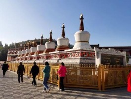 西宁旅游攻略一日游景点大全_西宁旅游攻略一日游景点大全推荐