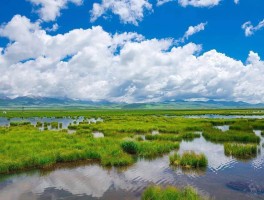 「汉中至青海旅游自驾路线」汉中至青海旅游自驾路线怎么走✅