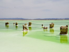 察尔汗盐湖景点介绍_察尔汗盐湖写进辉煌史