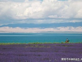 西宁三日游多少钱一个人_西宁三日游多少钱一个人住