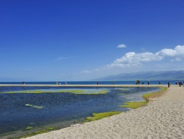 西宁旅游攻略必玩的景点青海湖_西宁旅游攻略必玩的景点青海湖一日游