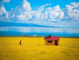 西宁3天旅游_西宁三日游最好的路线,有老人和小孩