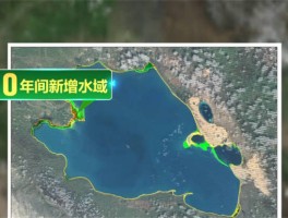 青海湖的水域面积有多大_青海湖的水域面积有多大平方公里