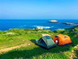 「象山渔山列岛旅游攻略」象山渔山岛旅游攻略自驾✅