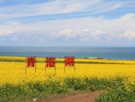 「青海旅游几月份去最好」青海旅游什么时候去最好✅