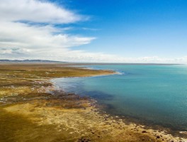 青海湖面积不断扩大的原因_青海湖面积变化的特征并分析原因