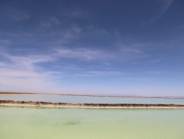 察尔汗盐湖和茶卡盐湖的区别_察尔汗盐湖距离茶卡盐湖多少公里