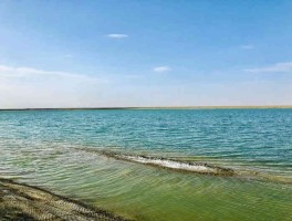 西台吉乃尔湖每年面积最大的月份的简单介绍