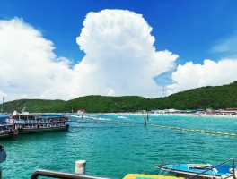 「北京泰国旅游团报名哪个平台好一点」北京泰国旅游团报名哪个平台好一点呢✅