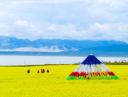 旅游大西北有哪些景点可以玩的地方_旅游大西北有哪些景点可以玩的地方呢