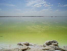 察尔汗盐湖里面有生物吗_察尔汗盐湖的盐可以直接吃吗