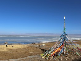 西宁有青海湖一日游吗_西宁有青海湖一日游吗?