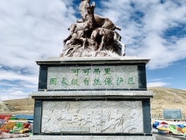 怎么去可可西里旅游_到可可西里旅游攻略