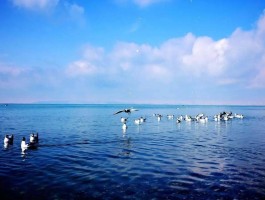 青海湖水是淡水还是咸水_青海湖的湖水是淡水还是咸水