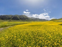 甘肃西宁景点排名_甘肃西宁自驾游攻略