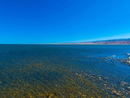 青海湖是咸水湖吗还是咸水_青海湖是咸水湖和淡水湖