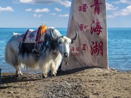 青甘必去5大景区和费用_青甘旅游攻略路线8月天气