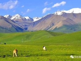 祁连山草原地址_祁连山草原最佳观赏地