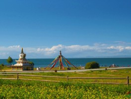 「西宁旅游攻略必玩的景点青海湖」西宁旅游攻略必玩的景点青海湖一日游✅