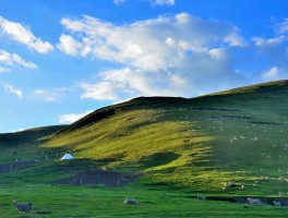 西宁到门源开车旅游怎么走好_西宁到门源开车旅游怎么走好一点