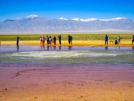 「西宁旅游必去景点推荐」西宁旅游必去景点推荐一日游✅