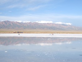 关于茶卡盐湖旅游景区景点的信息