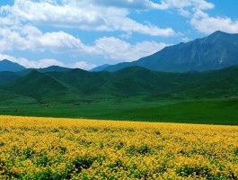 祁连山草原景区门票_祁连山草原景区门票多少钱