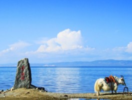 青海湖属于淡水吗_青海湖是淡水湖吗的由来