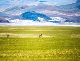 「可可西里景点讲解」可可西里景区必去景点✅