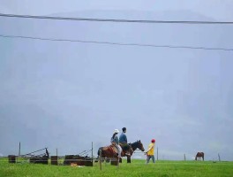 去大西北发朋友圈的说说文字_适合大西北旅游发朋友圈的句子