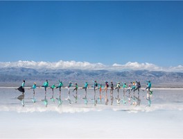 「茶卡盐湖旅游团电话」昌吉旅游公司联系方式✅