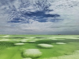 青海察尔汗盐湖简介_察尔汗盐湖比青海湖大