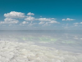 察尔汗盐湖盐度和海水比_察尔汗地区由海洋变为盐湖的演变过程