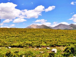 祁连山草原游玩时间安排_祁连山草原游玩时间安排最新