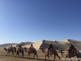 「大西北旅游景点都有哪些」大西北旅游景点都有哪些地方✅