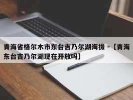 青海省格尔木市东台吉乃尔湖海拔 -【青海东台吉乃尔湖现在开放吗】