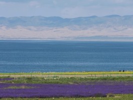 青海最美的十个地方图片_青海最美的十个地方图片大全