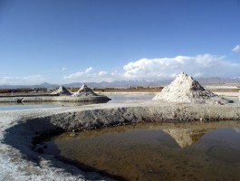 青海茶卡盐湖旅游发展有限公司开发部联系电话吗的简单介绍